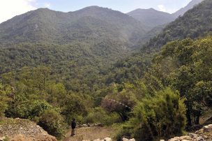 Encuentran muerto a hombre que estaba desaparecido en el cerro La Campana