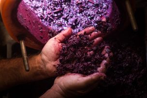 Estimaciones advierten que el 50% de la población mundial está infectada por la bacteria que produce el cáncer gástrico