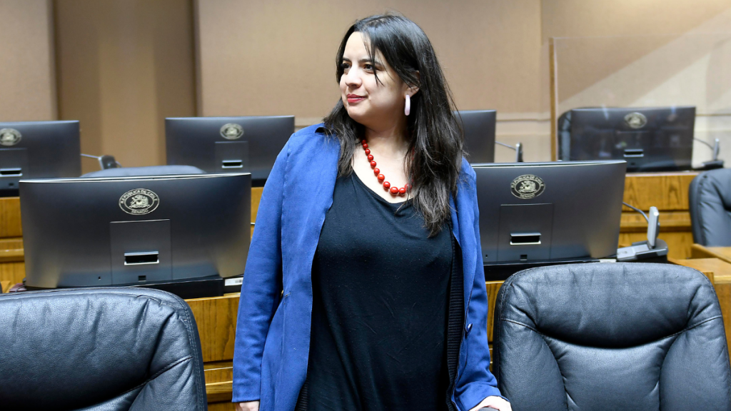 Diputados de Chile Vamos reiteran al Presidente Boric remover a Javiera Martínez tras ser citada a declarar como “imputada”