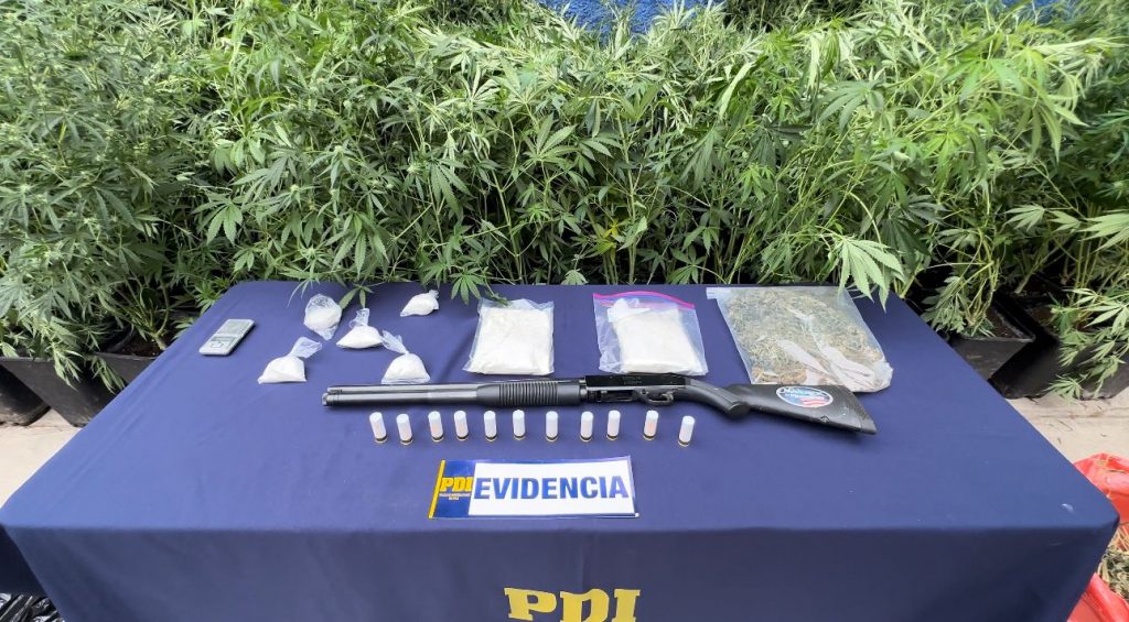 Provincia del Cachapoal: PDI incautó droga avaluada en más de $185 millones
