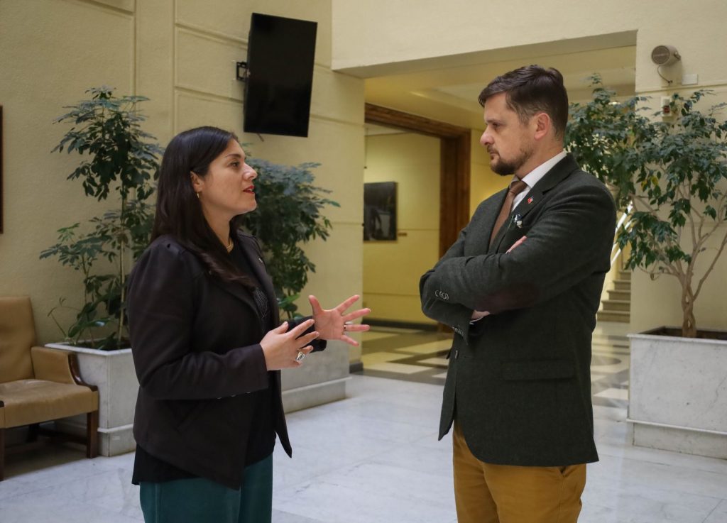 Diputados de la Macrozona sur piden avanzar en inteligencia y  herramientas a las FF.AA para perseguir a  grupos terroristas