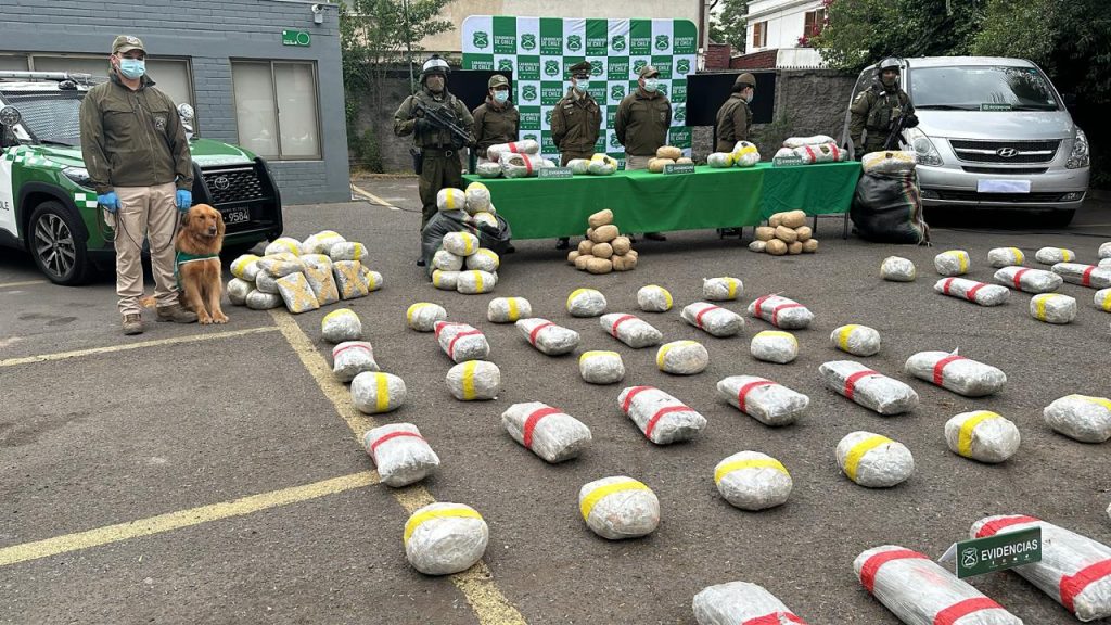 Carabineros detuvo a banda criminal que pretendía ingresar 365 kilos de marihuana a la R.M