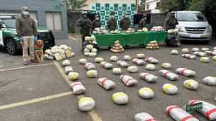 Carabineros detuvo a banda criminal que pretendía ingresar 365 kilos de marihuana a la R.M