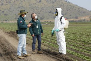 SAG apuesta por el uso de plaguicidas a base de extractos naturales