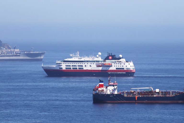 Confirman ocho casos de hantavirus Andes en crucero y tres muertos