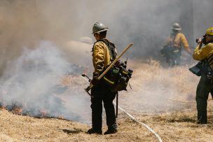 Senapred solicita evacuar sector de Loma del Medio en San Pablo por incendio forestal