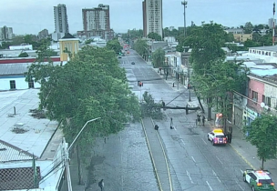 Tránsito es suspendido en Matucana por árbol que cayó sobre ambas calzadas