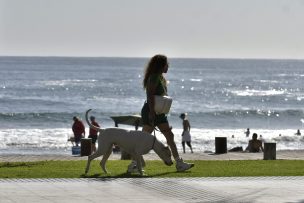 Vacaciones 2024: el arriendo de automóviles como un aspecto clave en el descanso