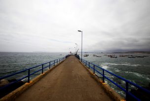 Encuentran pierna humana flotando en puerto de Coquimbo