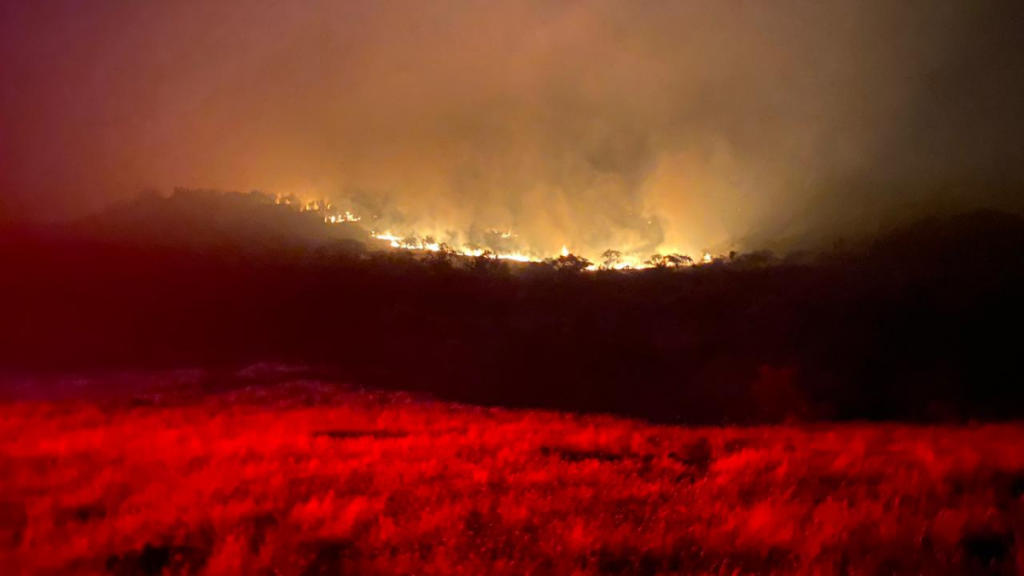 Región de O’Higgins: Alerta roja para la comuna de La Estrella por incendio forestal cercano a sectores poblados
