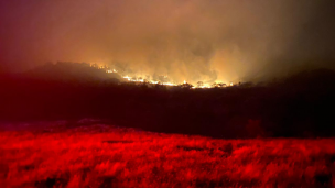 Región de O'Higgins: Alerta roja para la comuna de La Estrella por incendio forestal cercano a sectores poblados