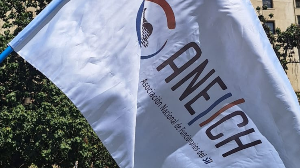 Presidenta de Asociación de Funcionarios del SII: “Es una institución donde hay humanos, por lo tanto, siempre va a ser permeable”