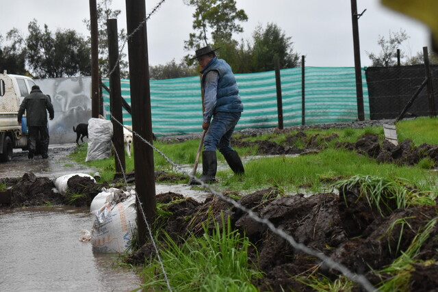Diputada Morales pidió agilizar entrega de ayudas a agricultores afectados por inundaciones en O’Higgins