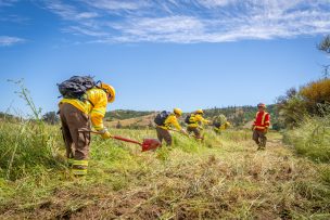 Autoridades entregan recomendaciones para prevenir incendios en predios