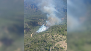 Alerta roja para la comuna de Machalí por incendio que afecta a la Reserva Nacional Río de Los Cipreses