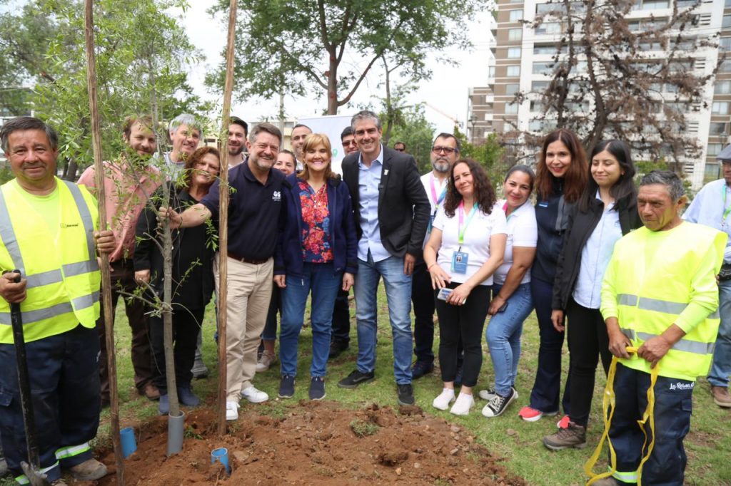 GORE y Municipalidad de La Reina lanzan “Más que un Árbol”, programa que intervendrá el 100% de sus árboles