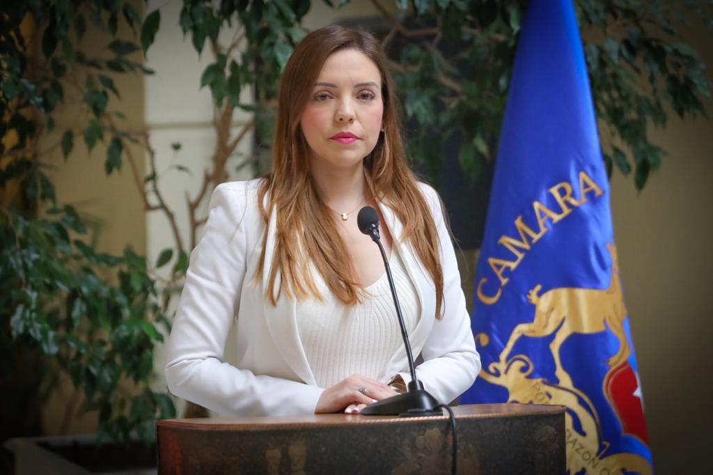 Diputada Flores logró juntar las firmas: Habrá sesión especial por delitos sexuales en Mejor Niñez