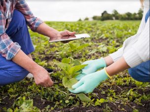 Corfo anunció programas por más de $7.000 millones para el desarrollo sostenible de la agricultura