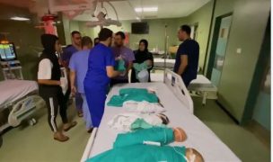 Evacuaron a 31 bebés prematuros que estaban ingresados en el Hospital Al Shifa de Gaza