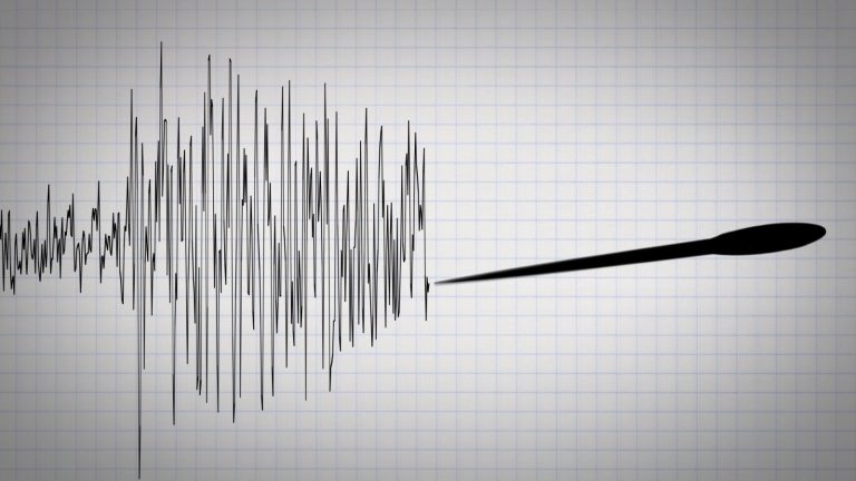 ¿Hay zonas de Chile donde no ocurran terremotos? La respuesta del Centro Sismológico Nacional