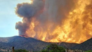 Senapred entregó balance de afectación por incendios forestales: Hay dos sujetos detenidos