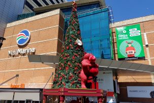 Compras navideñas e inseguridad: Recomendaciones para mantenerse seguro en fin de año