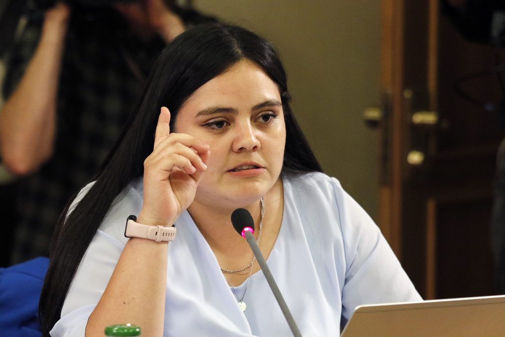 Diputada Concha por AC contra Montes: “Hay cosas que son insostenibles de llevar adelante y una de esas es lo ocurre al interior del Ministerio de Vivienda”