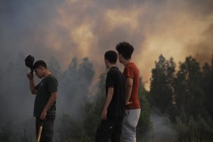 Senapred ordenó evacuar sectores de Santo Domingo por incendio forestal