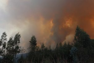 Alerta Temprana Preventiva para la Región de O’Higgins por amenaza de incendios forestales