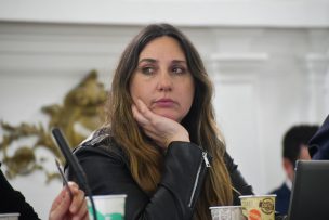 Paz Anastasiadis, excomisionada del Consejo Constitucional, renunció a la DC