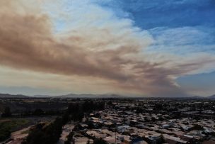 Nueva nube de humo en Santiago: Incendio forestal en comuna de María Pinto afecta 1.142 hectáreas