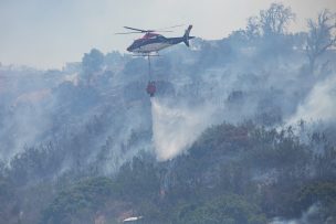 Senapred: ¿Cómo actuar frente a un incendio forestal?