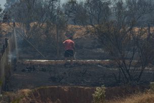 Gobierno informa que se querellará contra presunto autor de incendio forestal en Villa Alemana