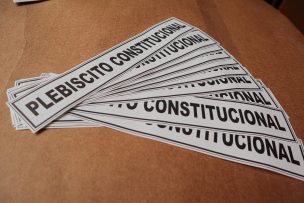 Plebiscito Constitucional: Opción 