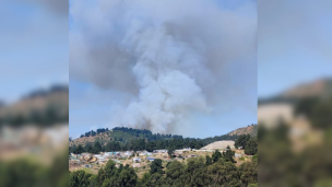 Senapred eleva a alerta roja en las comunas de Concón y Viña del Mar por incendio forestal