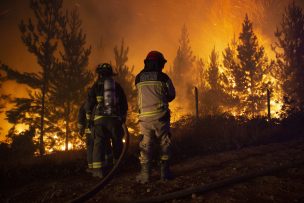 Alerta Roja para la Provincia de Marga Marga por incendios forestales