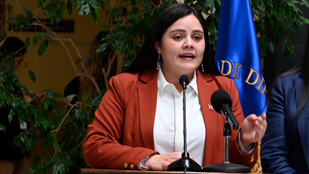 Diputada Sara Concha por Caso Convenios: “Me parece increíble que todavía no se asuma la responsabilidad política”