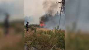 Incendio forestal en Valparaíso: Senapred ordena evacuar sectores El Palomar y Las Tórtolas