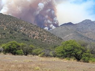 Incendio en Olmué consume una vivienda y amenaza a Parque Nacional