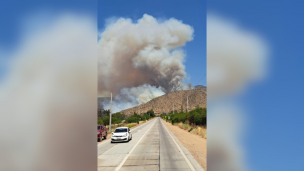 Curacaví en alerta roja por incendio forestal: Carabineros cortó el tránsito en el kilómetro 21,5 de la Cuesta Barriga