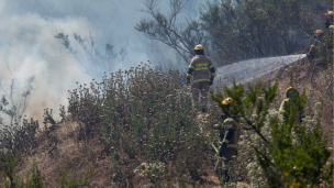 Alerta roja en Villa Alemana por incendio forestal que tiene 