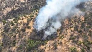 Reportan incendio en sector de San Carlos de Apoquindo en Las Condes