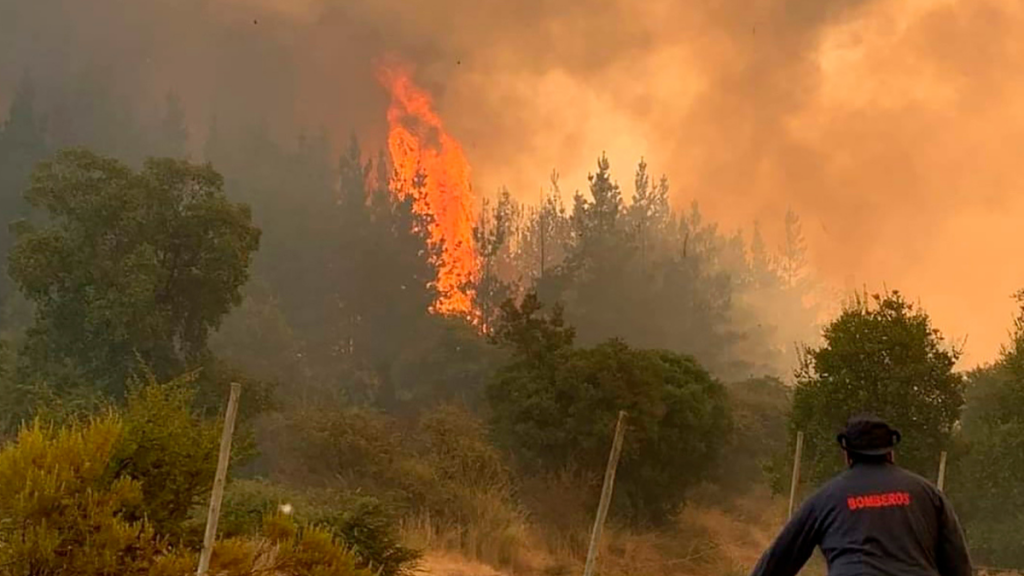 Declaran Alerta Roja en Colina por incendio forestal