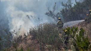 Balance incendios forestales: Se mantienen cinco alertas rojas, siete personas lesionadas y casi 20 casas afectadas