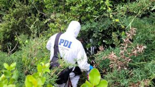 Niños encuentran cadáver descompuesto en sitio eriazo de Viña del Mar