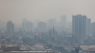 Incendio forestal en Curacaví y San Bernardo: Entregan recomendaciones por densa capa de humo en la RM