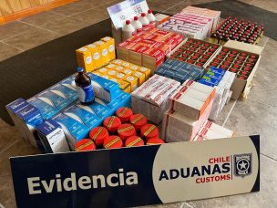 Puerto Montt: Aduana incauta contrabando de medicamentos veterinarios en Chaitén