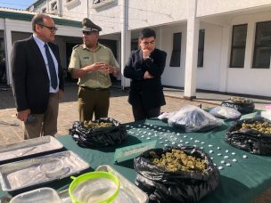 Carabineros y el Plan Cannabis: Multimillonarios decomisos marcan la primera semana de implementación