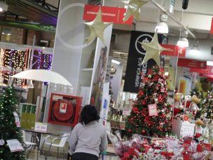 Sensación de inseguridad en compras navideñas: Expertos entregan consejos para evitar robos