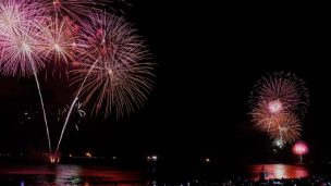 Fuegos artificiales: Especialistas entregan recomendaciones para resguardar a tus mascotas